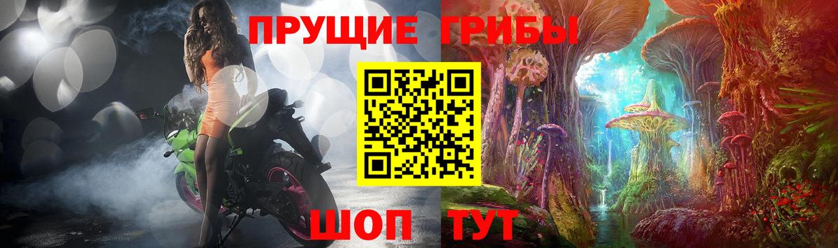 Псилоцибиновые грибы Psilocybe  Вход с VPN  Коркино 